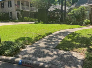 Lindsay T.'s lawn service service result