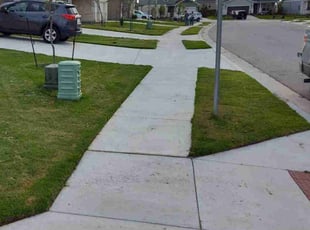 Darnell T.'s lawn maintenance service result
