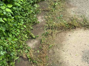 Kerry D.'s lawn care services service result