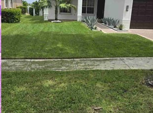 Debbie S.'s lawn care services service result