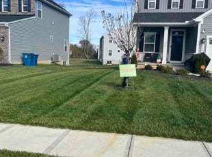 Julie G.'s lawn service service result
