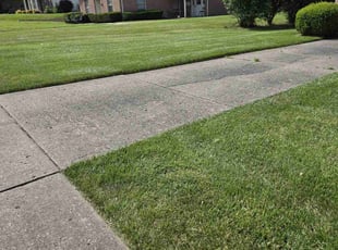 David B.'s lawn service service result
