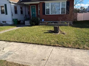 Jason B.'s turf care service result
