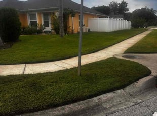 Kailey S.'s turf maintenance service result