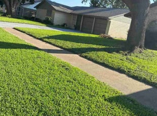 Alex C.'s lawn maintenance service result