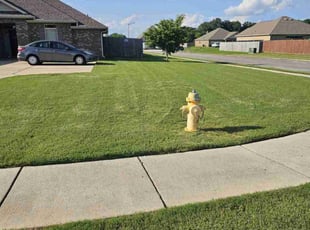 Shoshana E.'s turf care service result