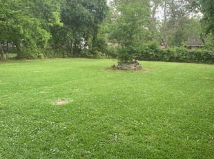 Janyce G.'s grass cutting service result