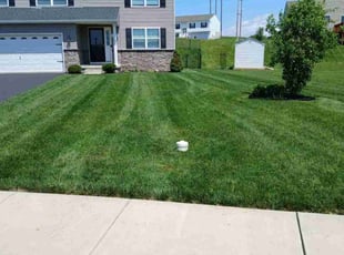 Vernon R.'s turf maintenance service result