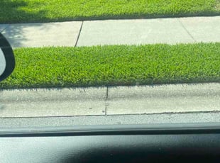 Dean R.'s turf care service result