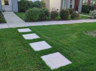 Thomas& A.'s grass cutting service result