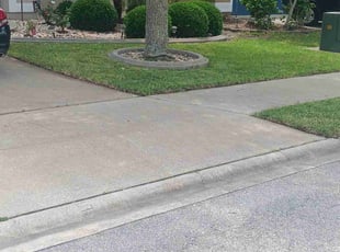 Robert B.'s lawn service service result