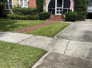 Glenita J.'s turf care service result