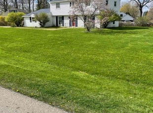 Lamont D.'s lawn care services service result
