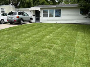 Rusty B.'s grass maintenance service result