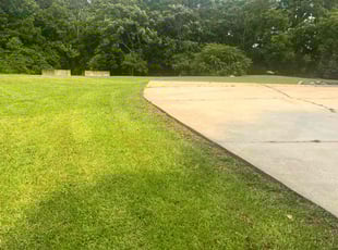 Jacob N.'s turf care service result
