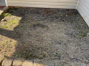 Susan O.'s Flower Bed Weeding service result