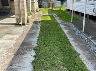 Bryanna C.'s turf maintenance service result
