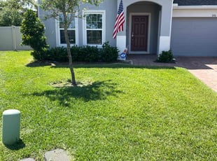Licia R.'s lawn maintenance service result