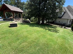 John W.'s turf care service result