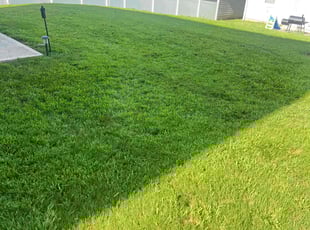 Michael B.'s lawn care service result