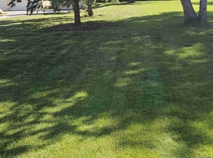Larry J.'s grass cutting service result