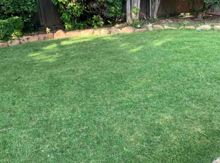 Kimberlee S.'s turf care service result