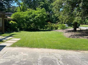 John D.'s grass cutting service result