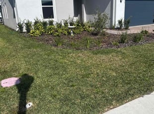 Tony H.'s lawn care service result