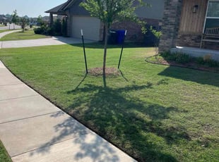 Jennifer W.'s grass maintenance service result