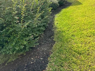 Joan H.'s Flower Bed Weeding service result