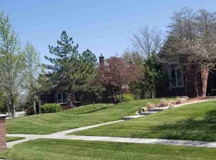 Vincent L.'s turf care service result