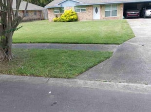 Iona D.'s yard care service result