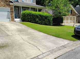 Jill K.'s grass maintenance service result