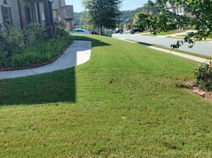 Camille S.'s turf maintenance service result