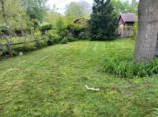 Lora B.'s lawn care services service result
