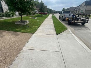 Veronika W.'s Long Grass Cleanup service result