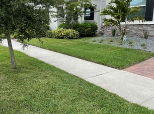 Julie M.'s grass cutting service result