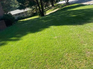 Joseph B.'s lawn service service result