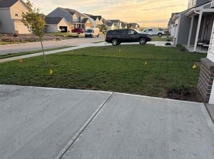 Ken K.'s turf maintenance service result