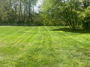 Karen N.'s turf care service result
