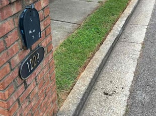 Trish V.'s turf care service result