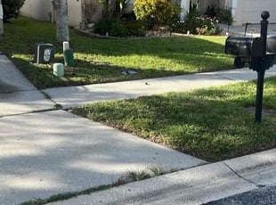 Jeff Y.'s lawn maintenance service result