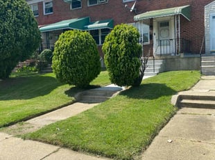Terry J.'s lawn service service result