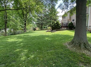 Nathan S.'s lawn care services service result