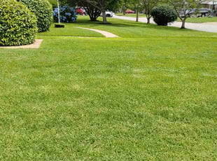 Theresa C.'s lawn service service result