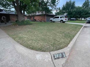 Shelby P.'s turf maintenance service result