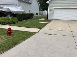 Gurmeet S.'s grass cutting service result