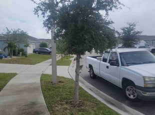 Brandi A.'s Bush Trimming service result