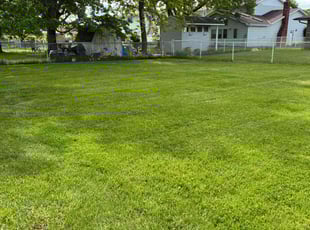 Roger B.'s turf maintenance service result