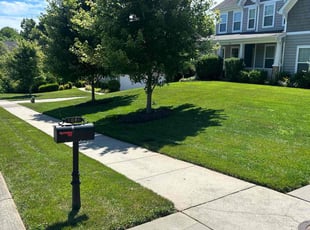 Jacquelyn B.'s lawn maintenance service result